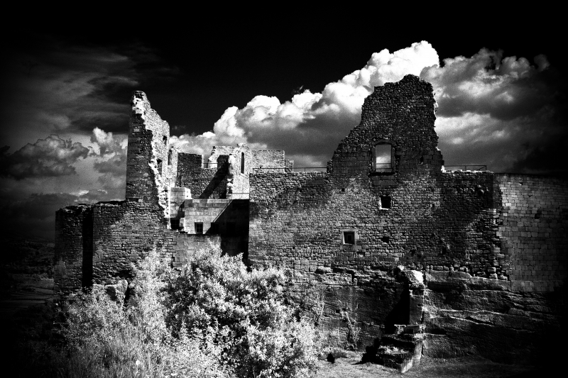 Memory Lost by artist Gray Hawn